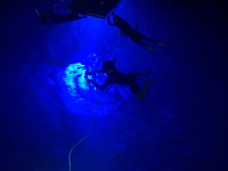 Three divers are submerged underwater in a pool. The image is illuminated with a striking blue light, giving an ethereal glow to the water. Two divers are near the surface holding onto equipment or a platform, while the third diver is slightly deeper, possibly adjusting something. A rope is also visible extending into the water.