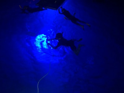 Three divers are submerged underwater in a pool. The image is illuminated with a striking blue light, giving an ethereal glow to the water. Two divers are near the surface holding onto equipment or a platform, while the third diver is slightly deeper, possibly adjusting something. A rope is also visible extending into the water.