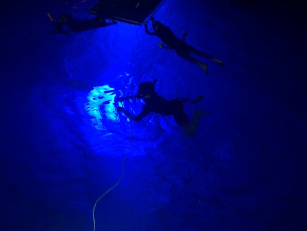 Three divers are submerged underwater in a pool. The image is illuminated with a striking blue light, giving an ethereal glow to the water. Two divers are near the surface holding onto equipment or a platform, while the third diver is slightly deeper, possibly adjusting something. A rope is also visible extending into the water.