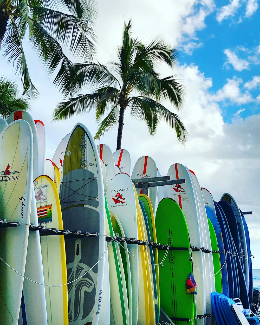 assorted-color surfboards