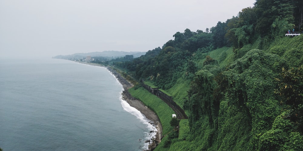 a scenic view of the ocean and a lush green hillside
