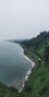 ocean near mountain with trees