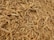 A large pile of dried roots with a rough, fibrous texture. The roots are twisted and intertwined, varying in thickness and length. They have a light brown color and appear natural and unprocessed.