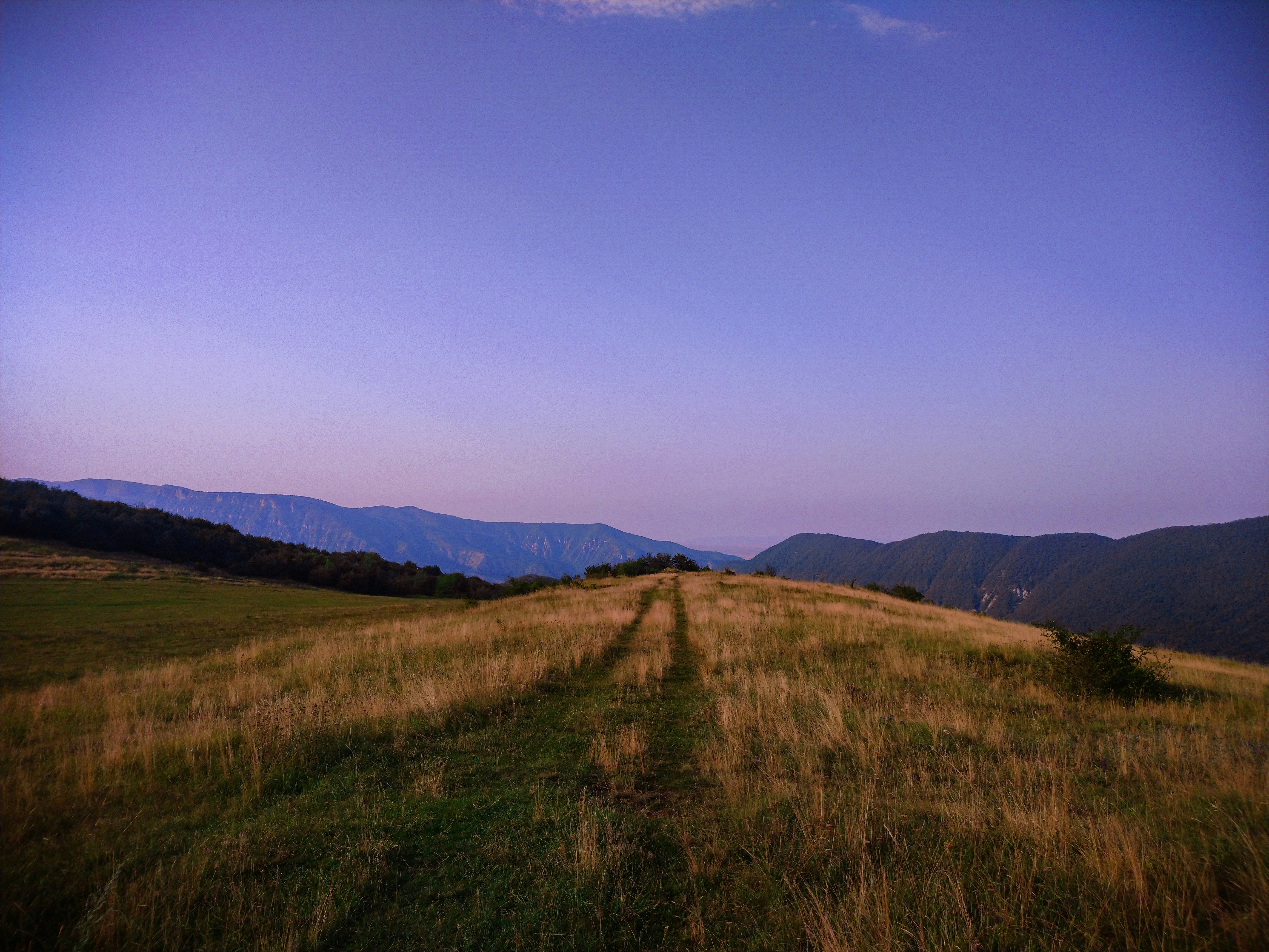 Photo by magdagis