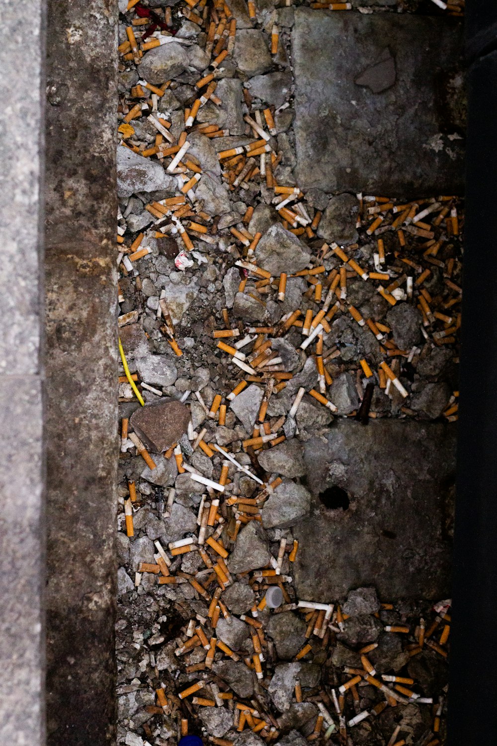 cigarette butts scattered on the ground
