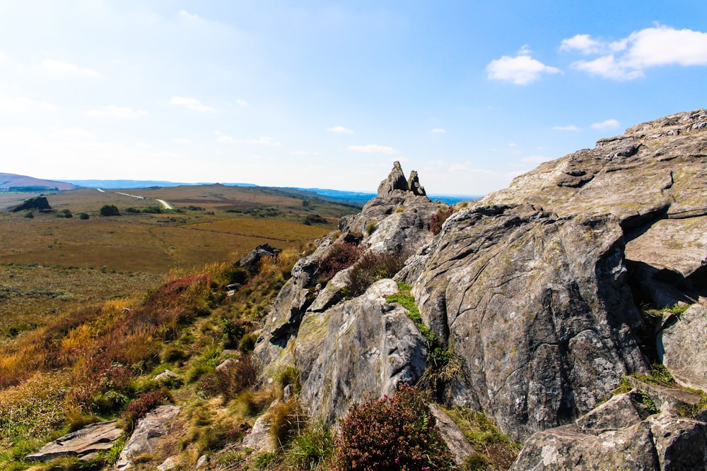 gray rock formation