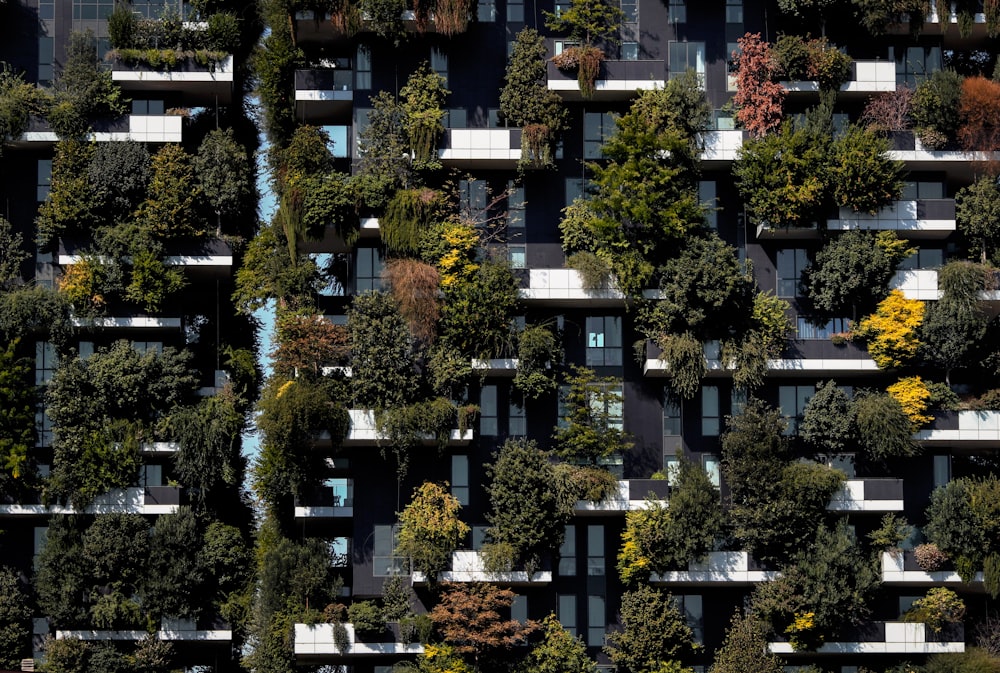 bird's-eye view photo of town buildings