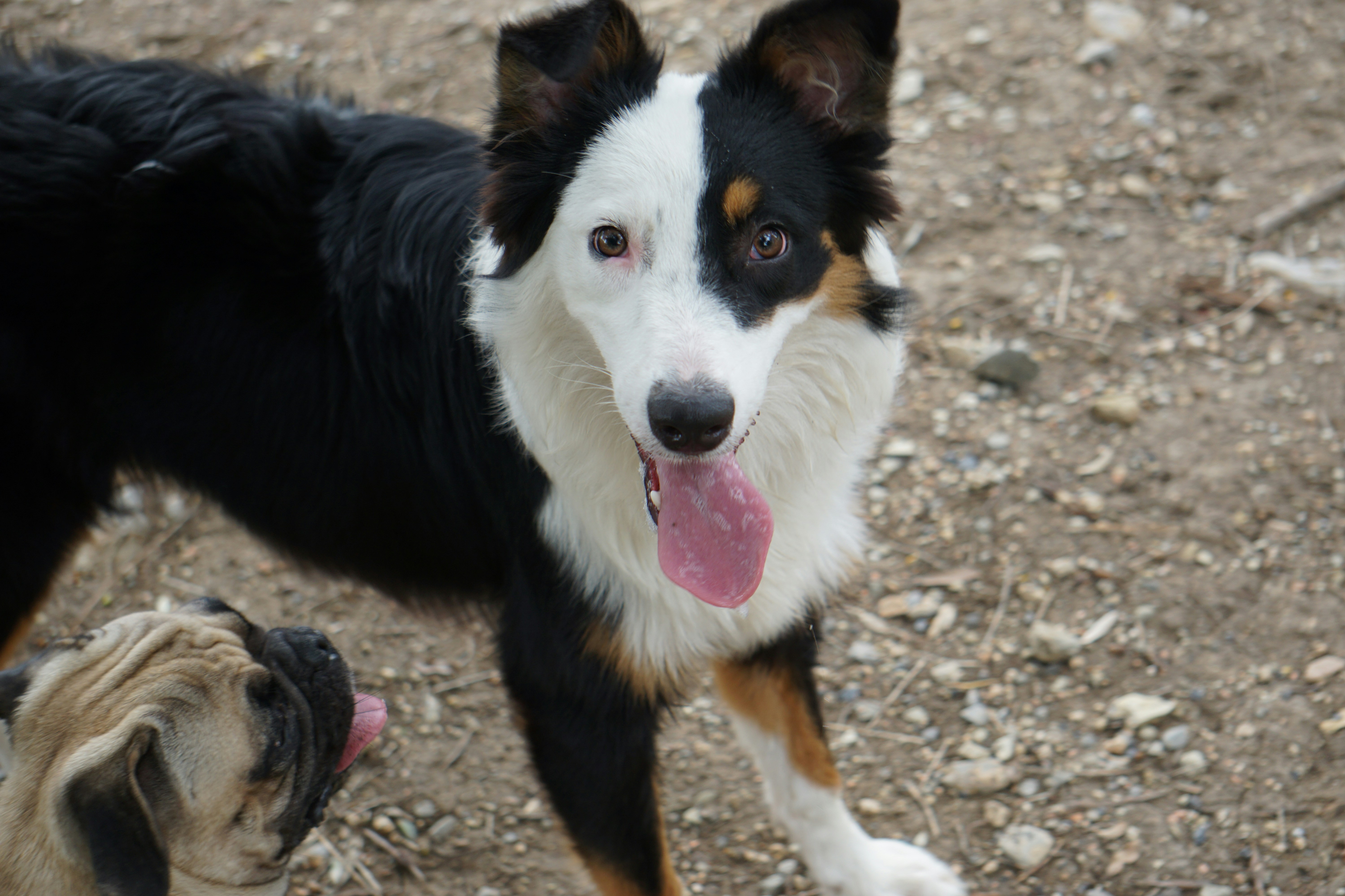 Photo by patriciodavalos