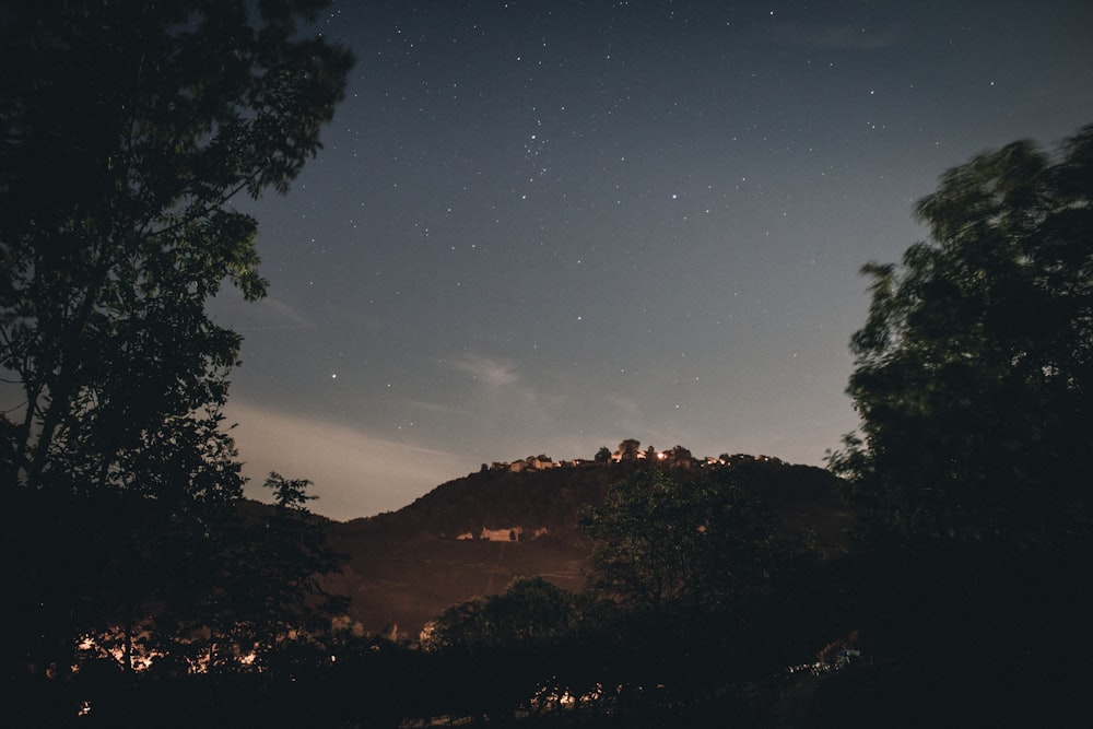 silhouette of mountain and trees