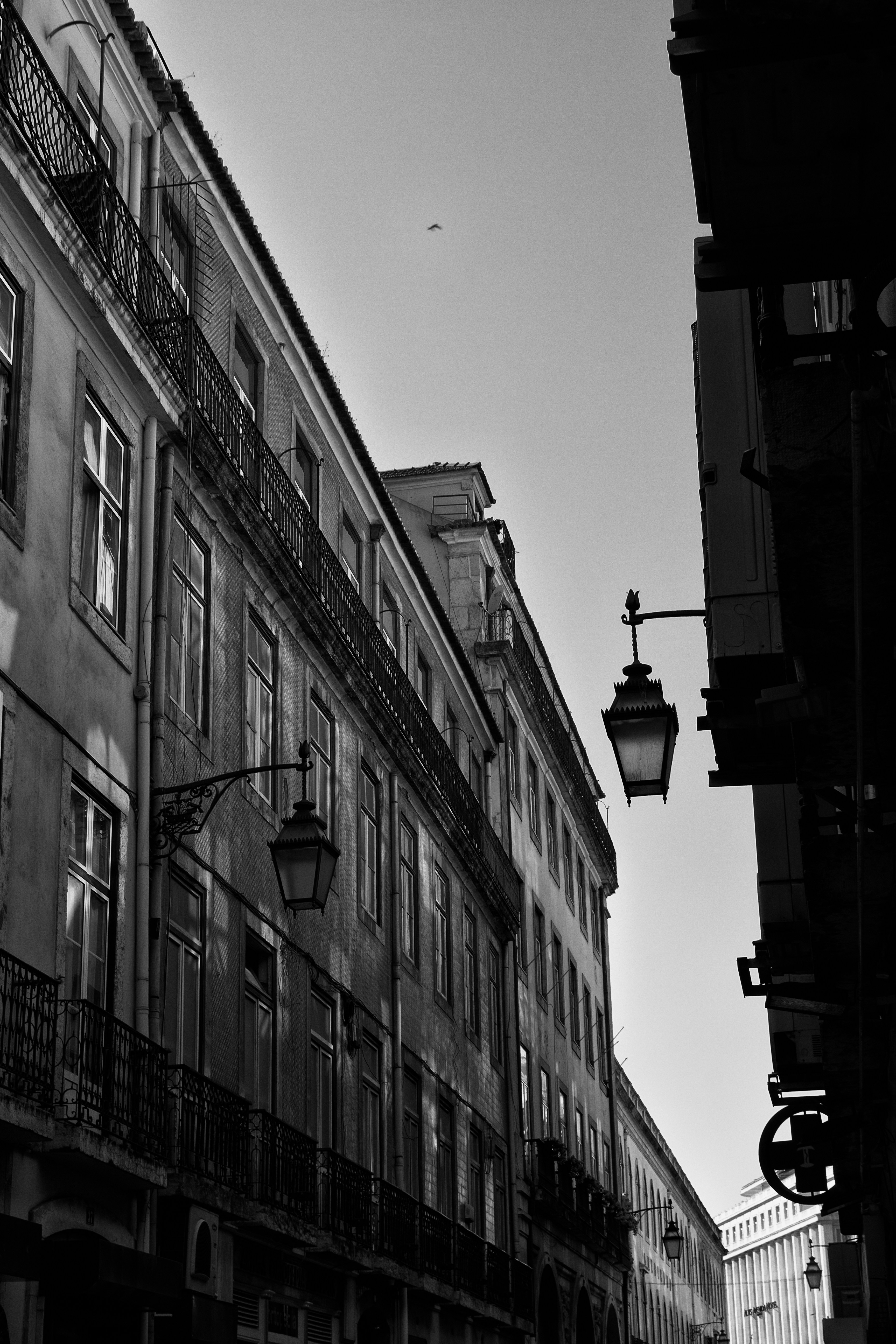 Photo by viniciushenrique