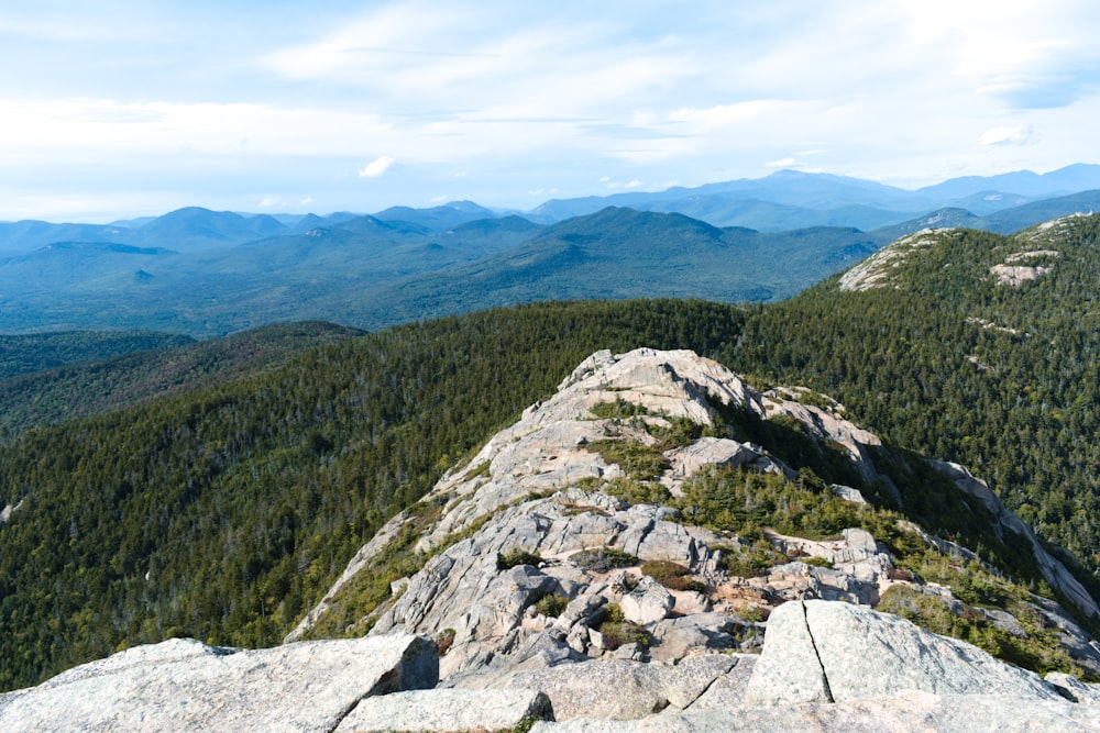 mountain covered by trees