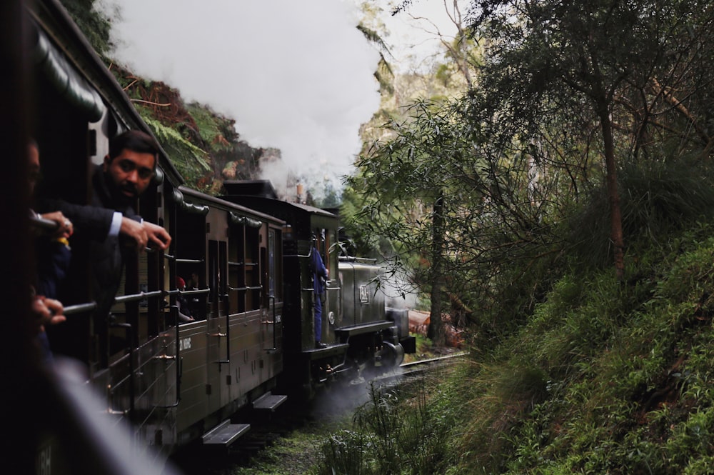 train near forets