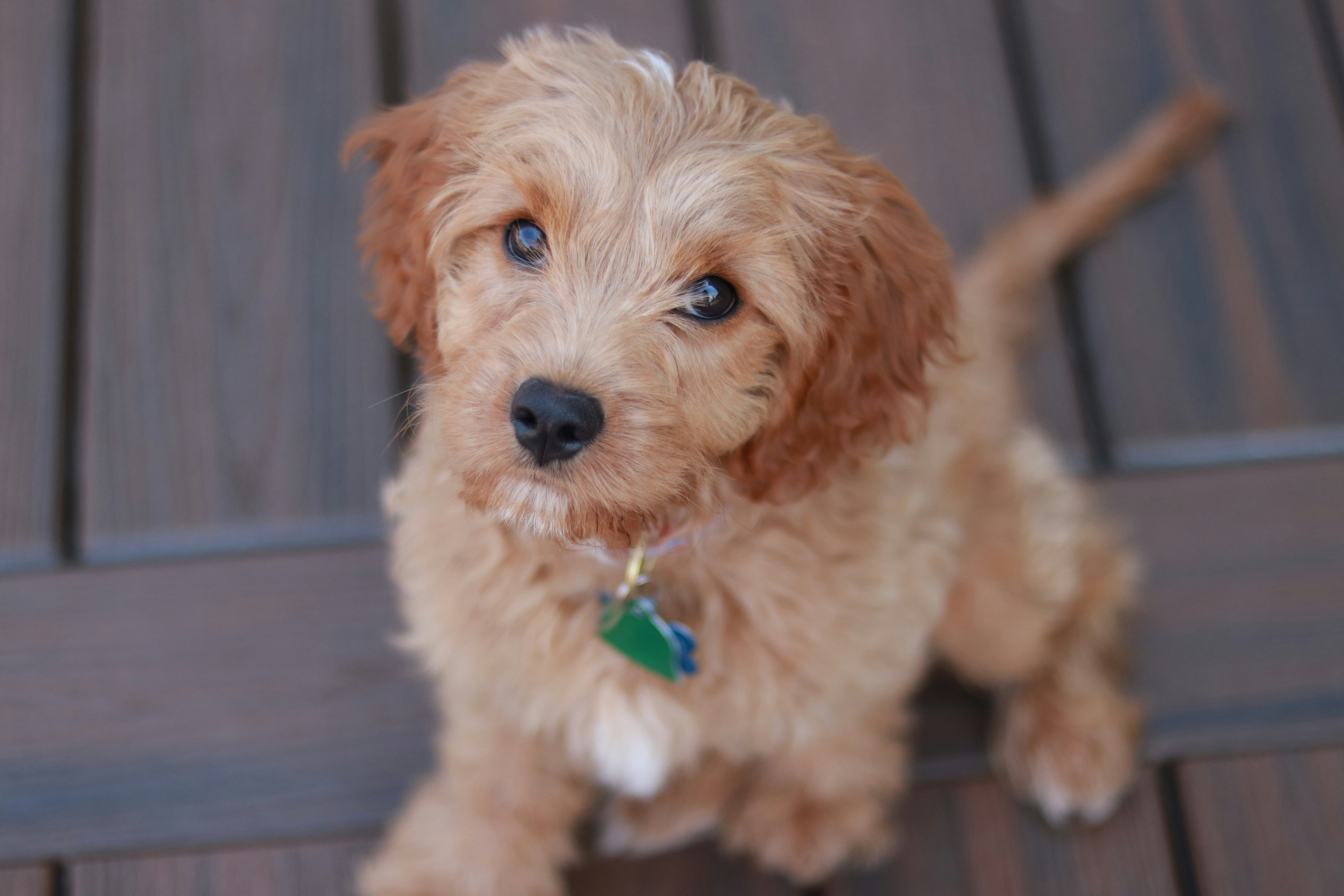 Photo by miaandersonphotography