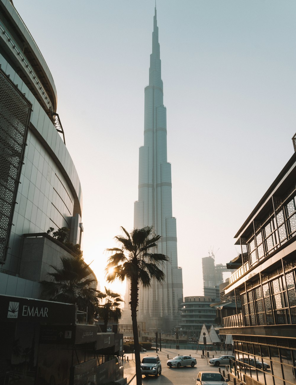 cars near buildings