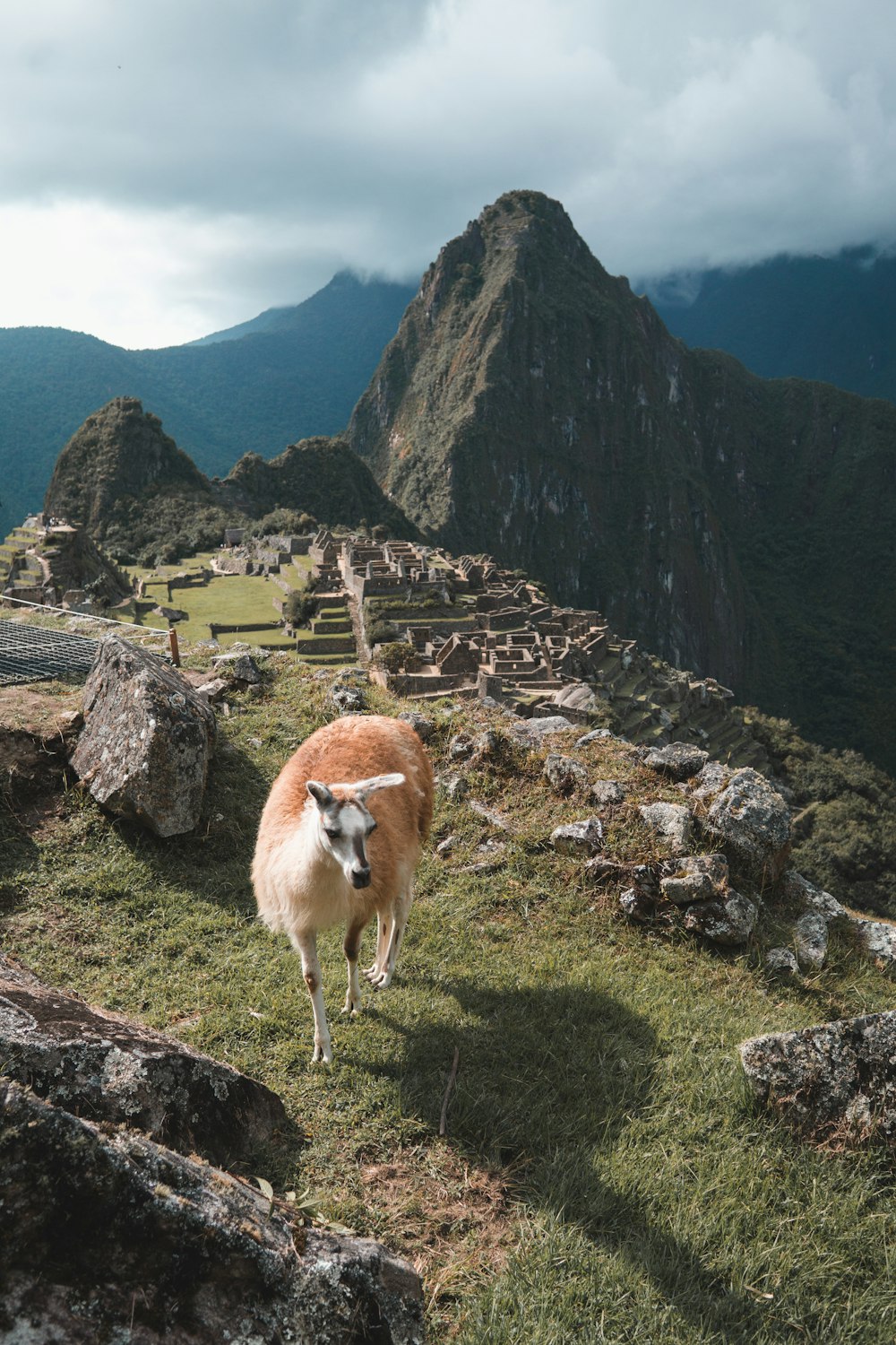 ペルー, Huayna Picchu