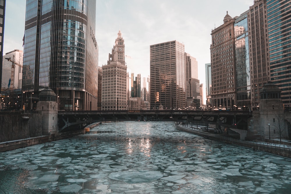 frozen water under a bridge in the city