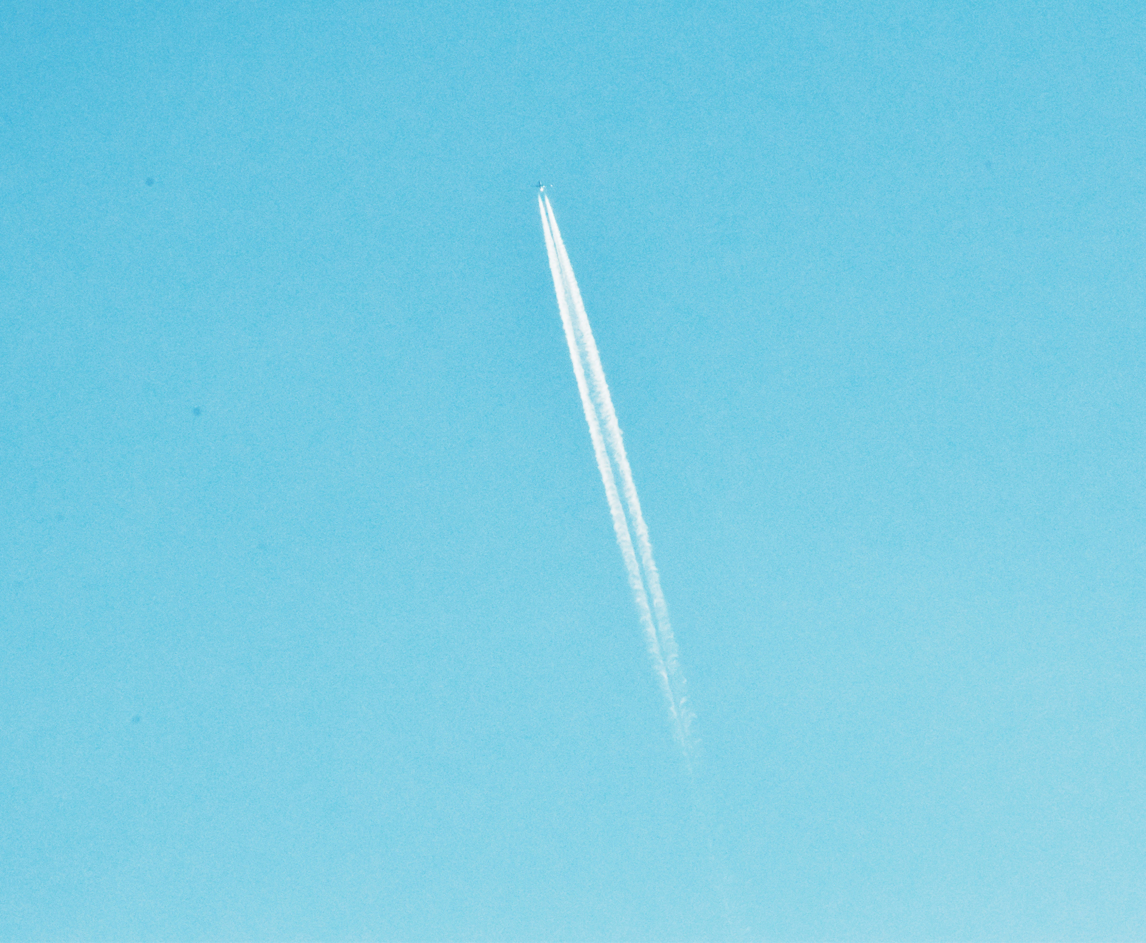 Photo by ellabella124