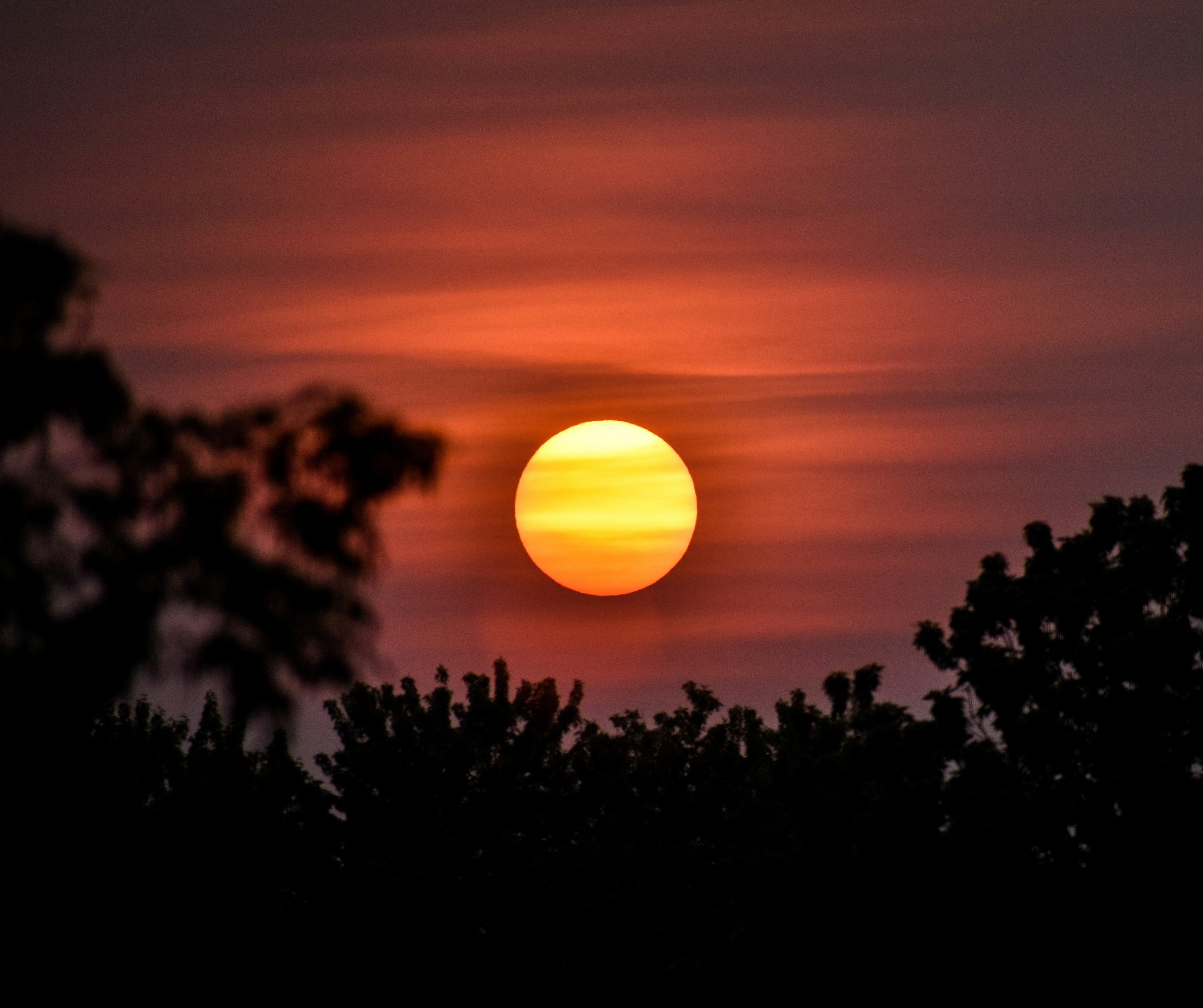 Photo by ellabella124