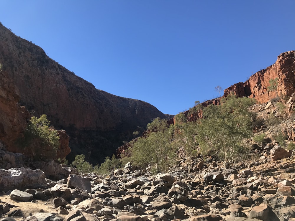 gray stones and brown mountain