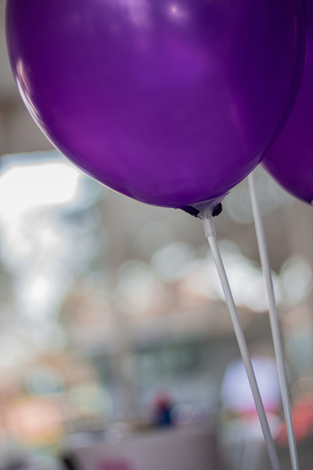 Palloncini viola con messa a fuoco selettiva foto – Viola Immagine gratuita  su Unsplash