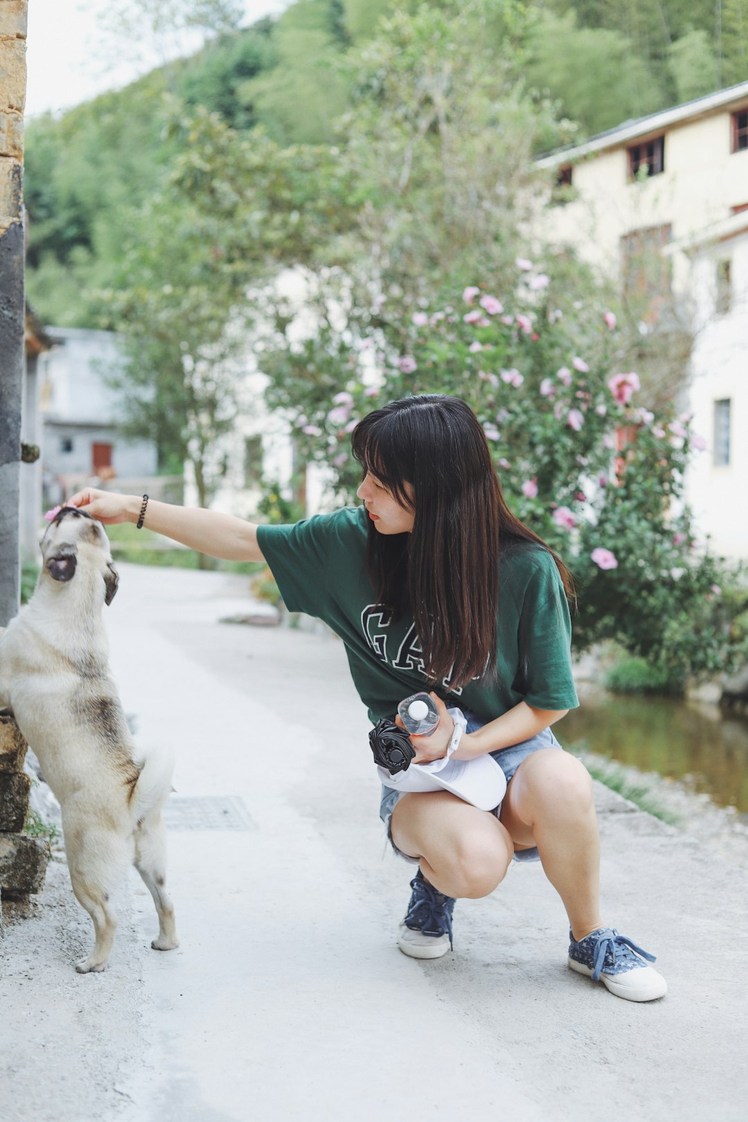 selective focus photography of woman touching dog