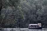 A small boat with a canopy is carrying several passengers on a calm body of water, surrounded by dense, lush green forest. The trees are tall and abundant, and some of their branches hang over the water. People on the boat appear to be engaging in recreational activities.