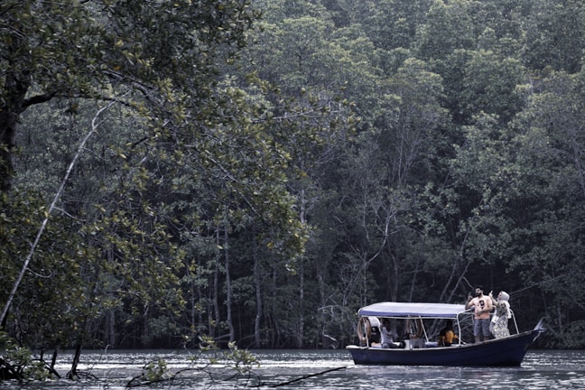 Tourists enjoying a boat ride surrounded by tropical forest in Los Haitises