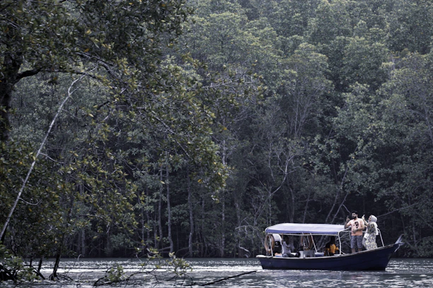 Guests kayaking through lush green jungle waters at Orchid Jungle Resort.