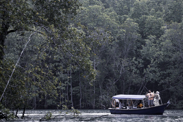 Guests enjoying a boat tour on clear water surrounded by lush greenery
