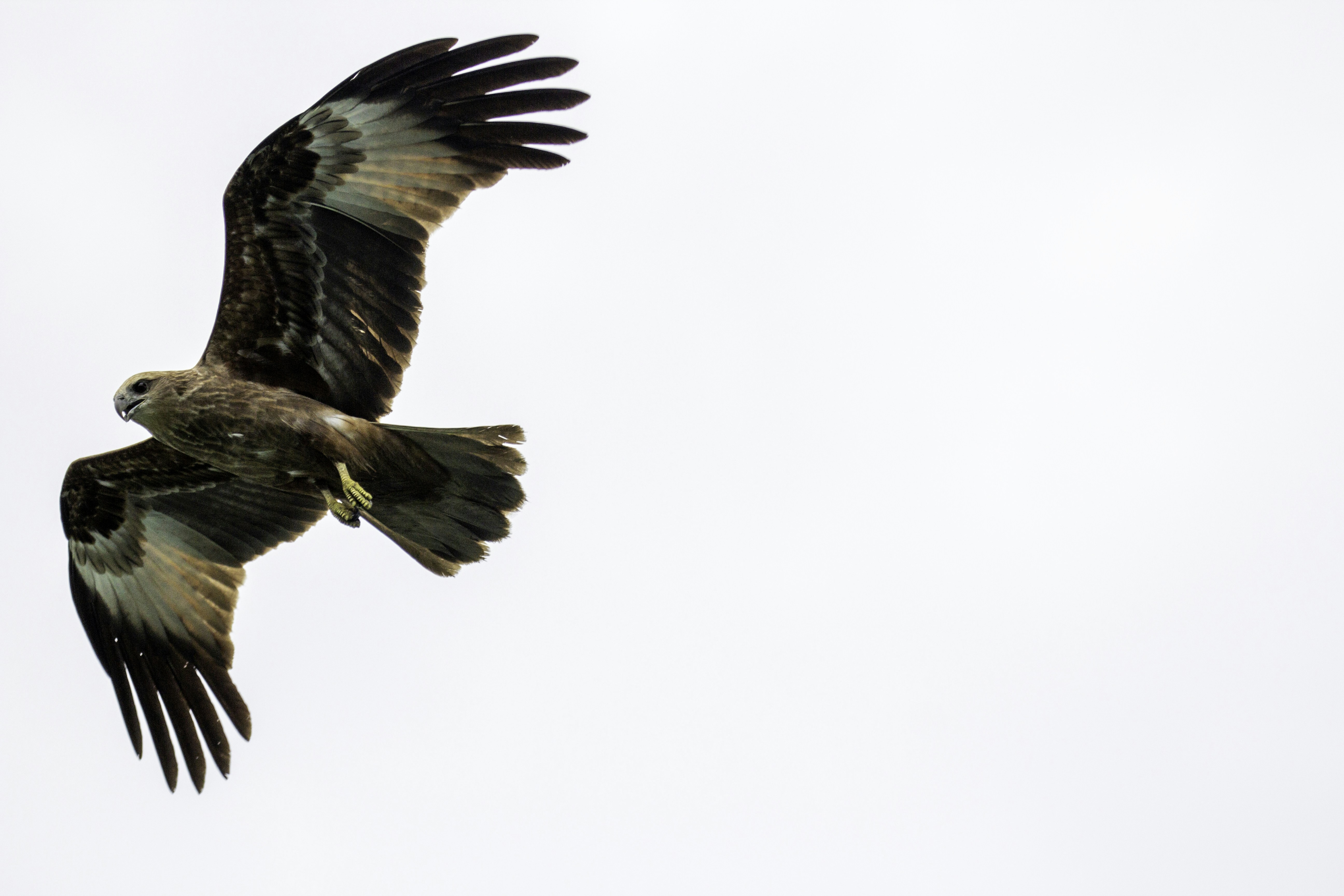 Photo by makariostang