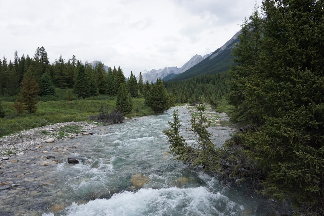 Mountain river photo spot Banff Cone Mountain