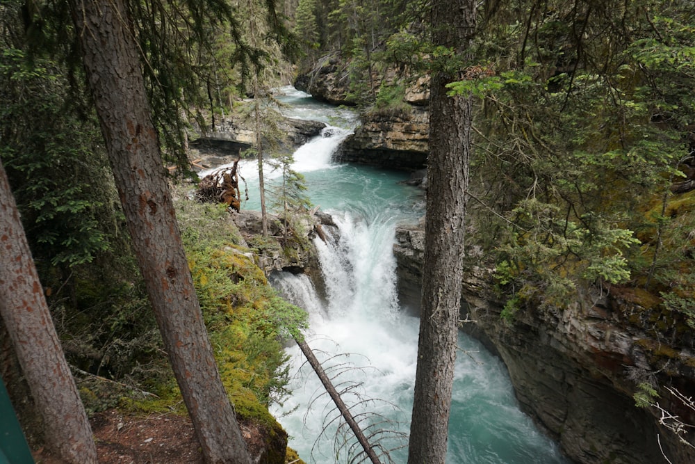 waterfalls between trees