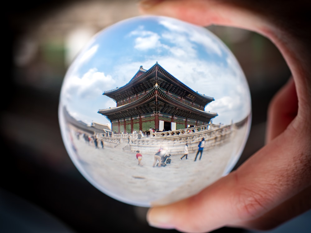 eagles eye photo of black and red temple