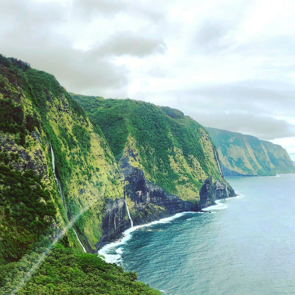 green terrain near body of water