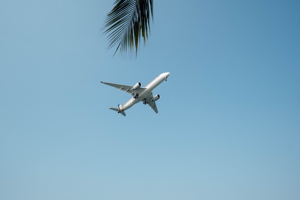 low-angle photography of airliner during flight