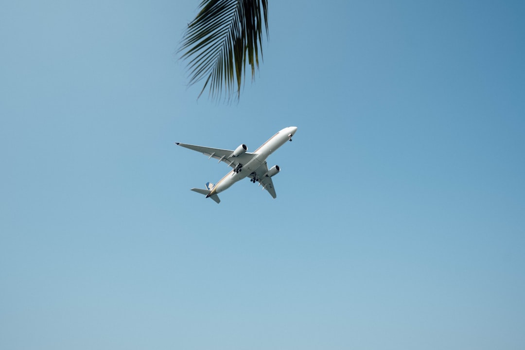 low-angle photography of airliner during flight,