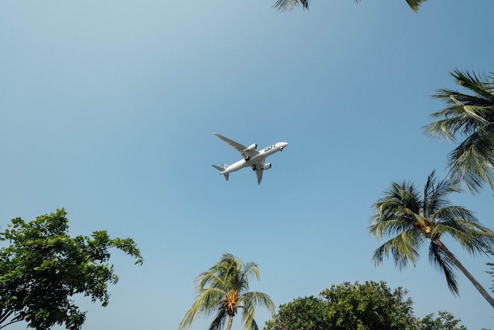 Photo en contre-plongée de l’avion