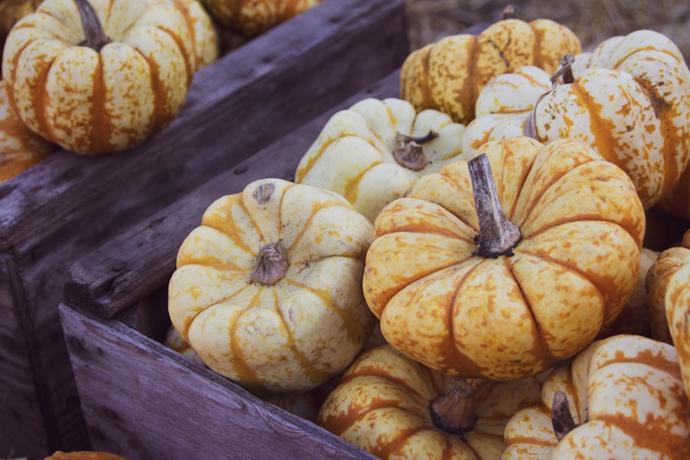 pumpkin lot on brown wooden crates