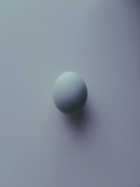 A single, smooth, white egg is placed against a plain, light background. The egg casts a soft shadow, indicating a gentle light source. The simplicity and minimalistic setting emphasize the contours and shape of the egg.