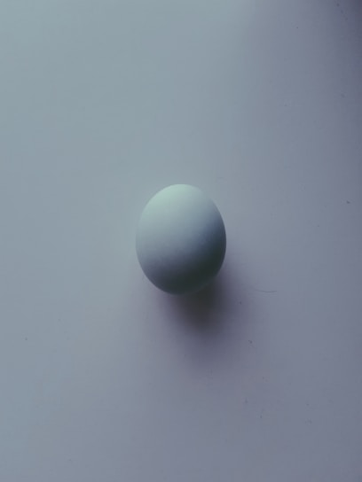 A single, smooth, white egg is placed against a plain, light background. The egg casts a soft shadow, indicating a gentle light source. The simplicity and minimalistic setting emphasize the contours and shape of the egg.