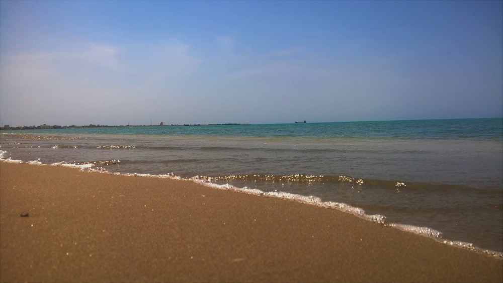 brown sand shore