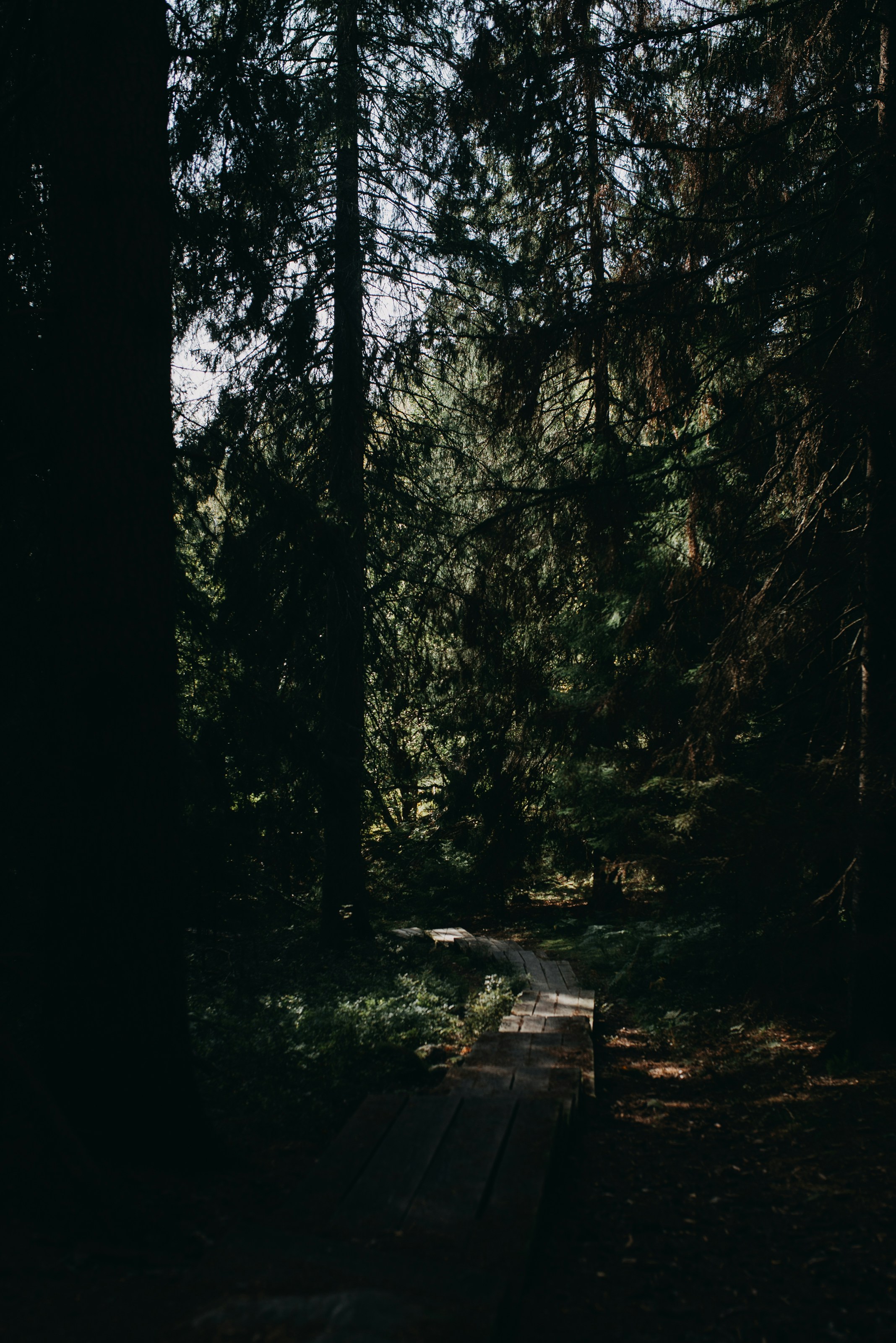 Photo by barnikakovacs