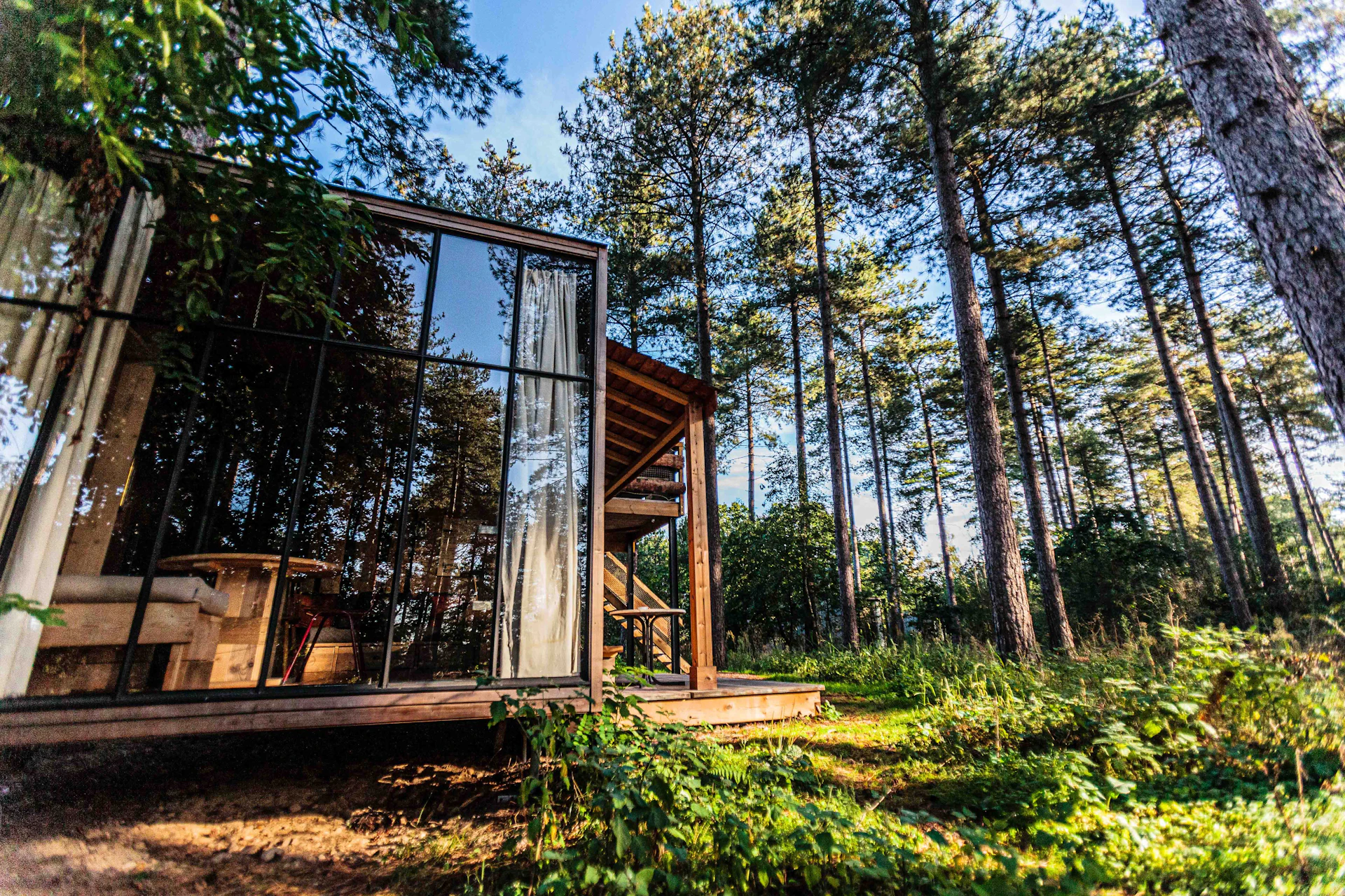 glass wall house at middle of forest