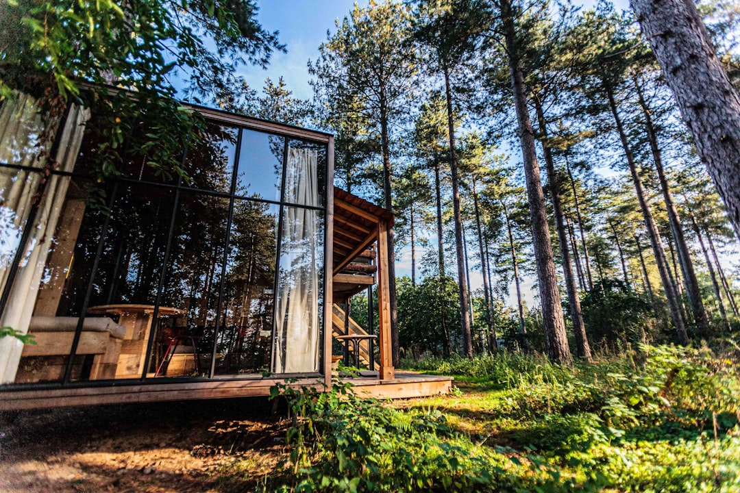 glass wall house at middle of forest,