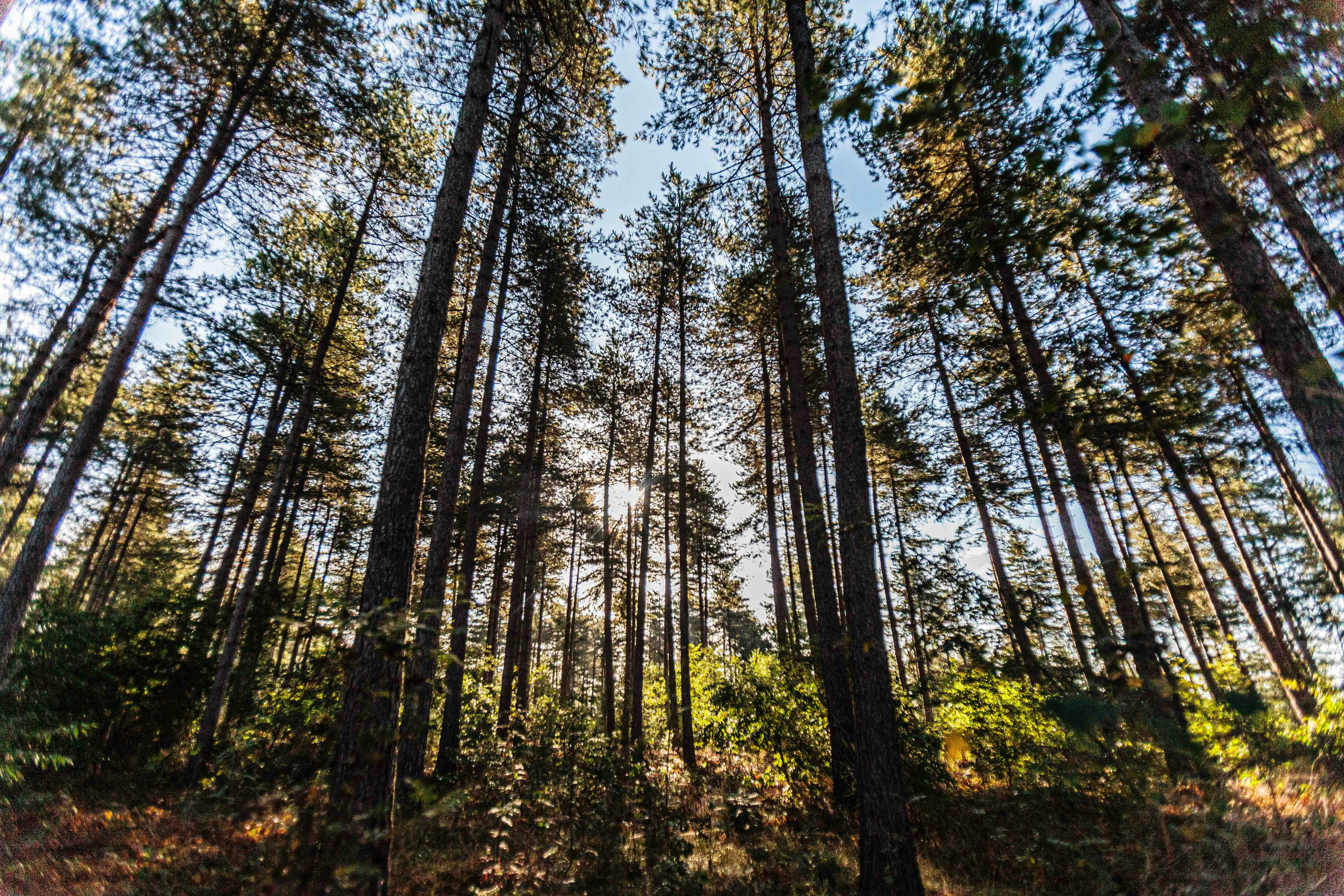 Photo by kennykennethh