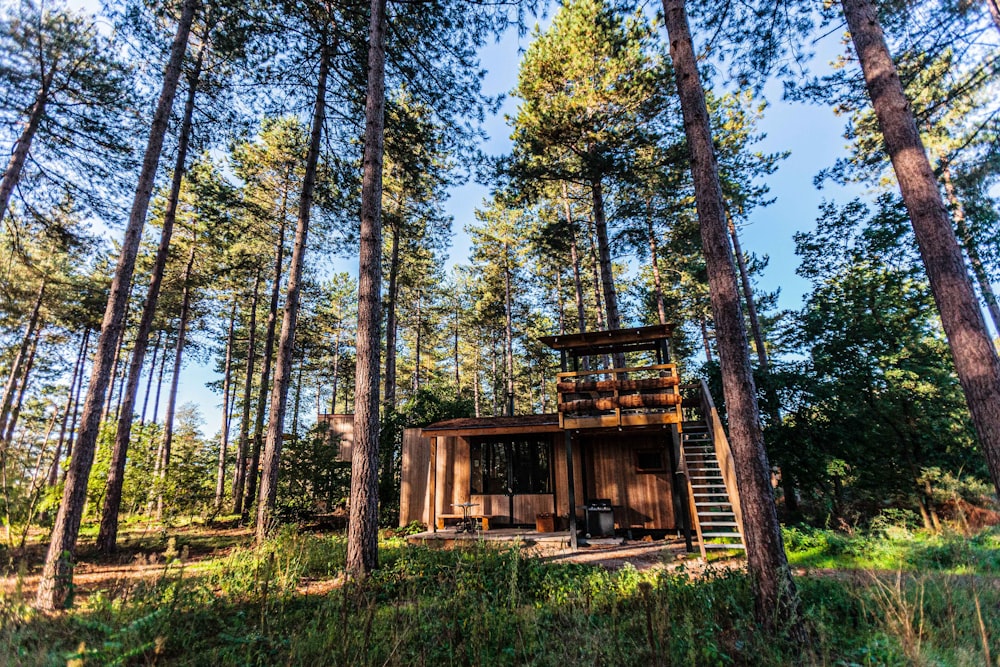 brown wooden house surrounded by trees during daytime