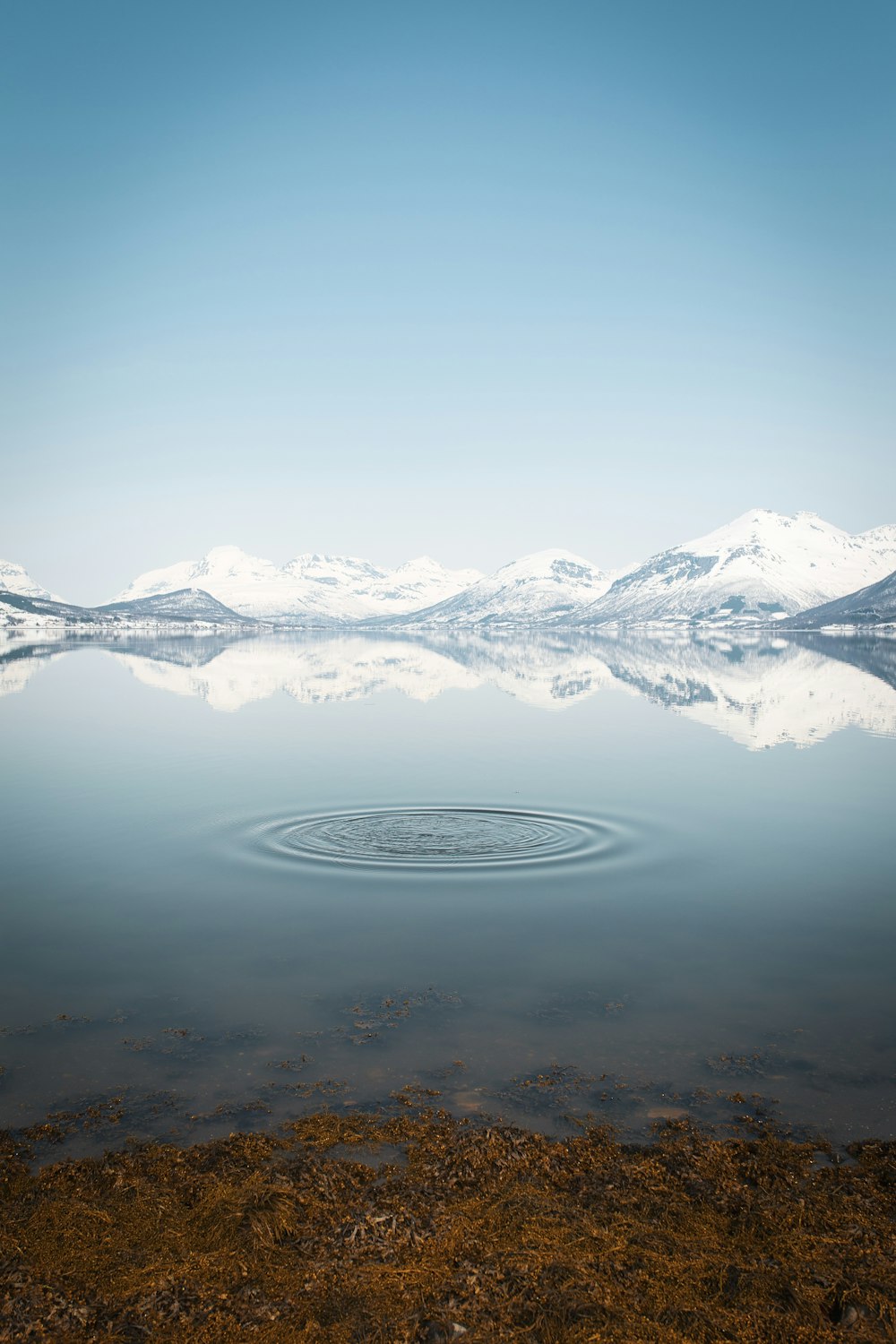 a large body of water with mountains in the background