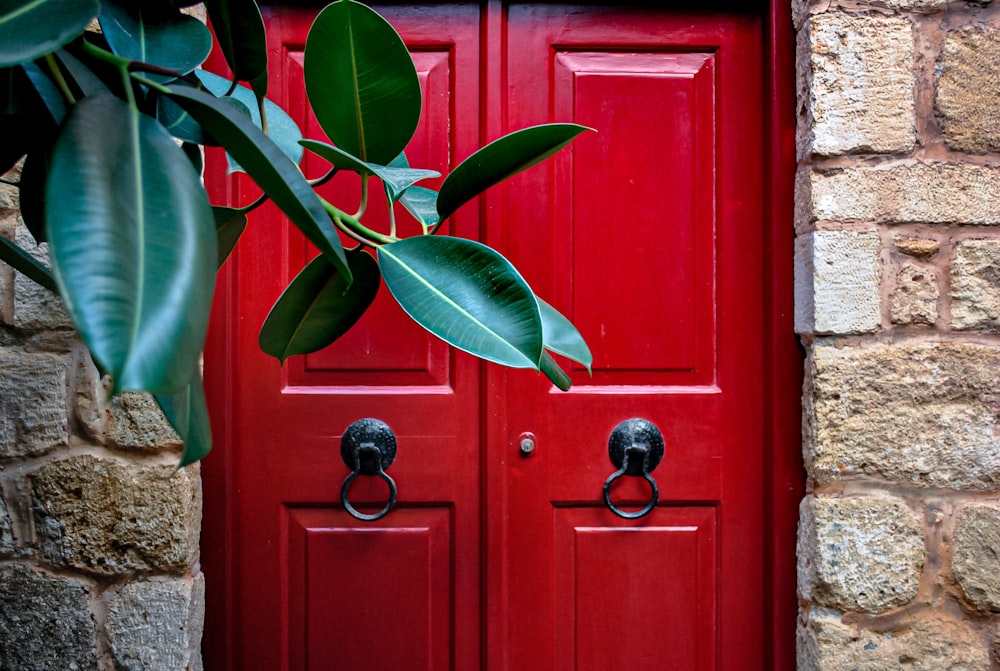 closed red door