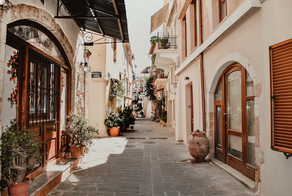 a narrow street with potted plants on either side