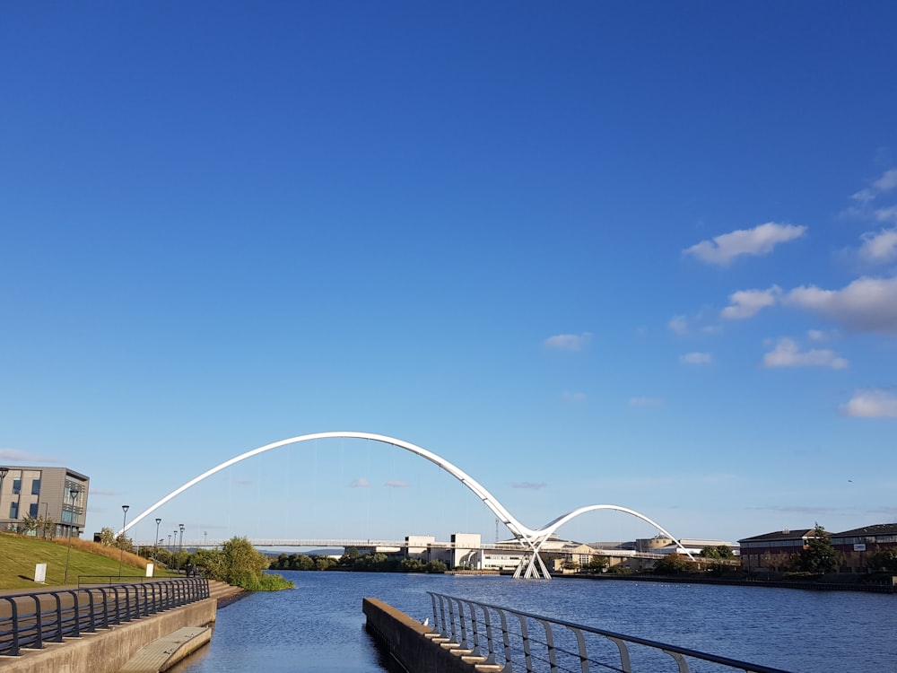 bridge above water near buildings